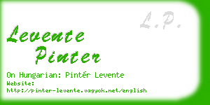 levente pinter business card